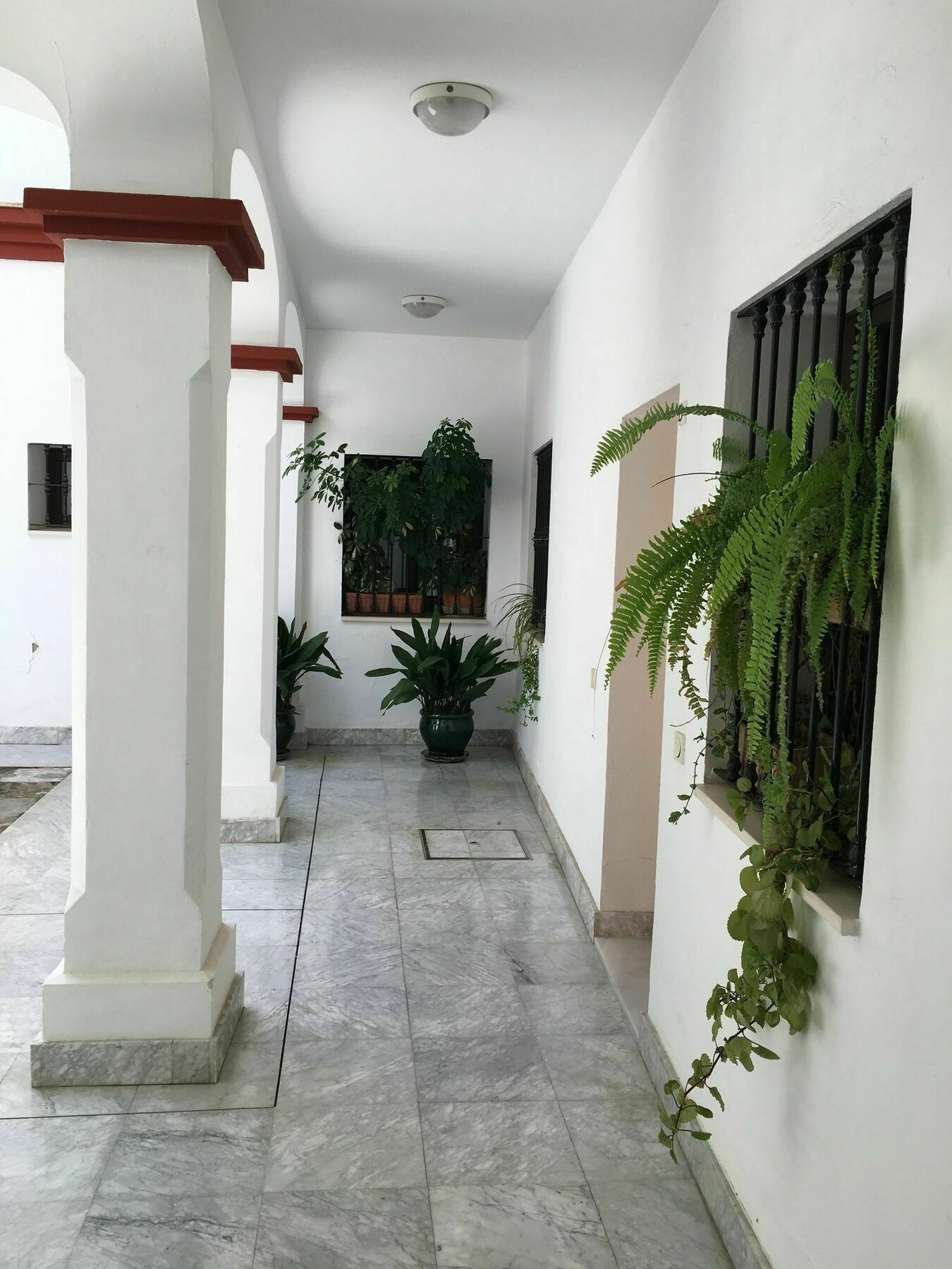 Teodosio Apartment Free Parking & Central Ac 塞维利亚 外观 照片