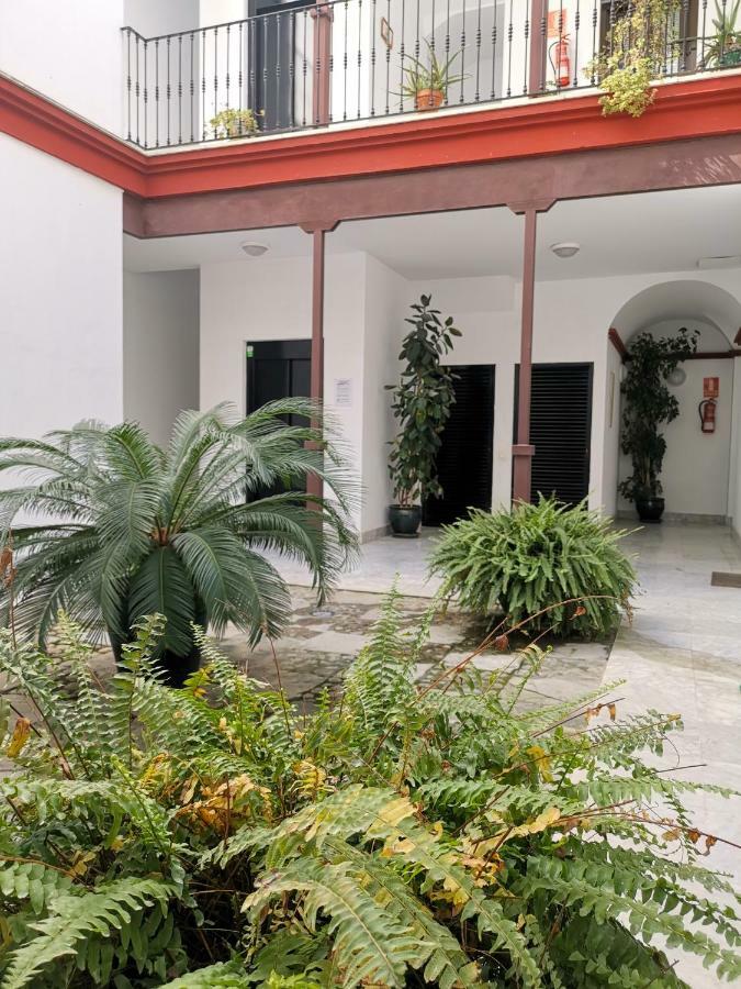 Teodosio Apartment Free Parking & Central Ac 塞维利亚 外观 照片